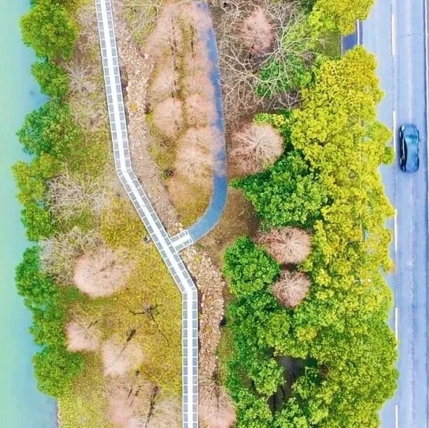 穿过捍海长城,柘林还有一整条“走得进的旧时光”